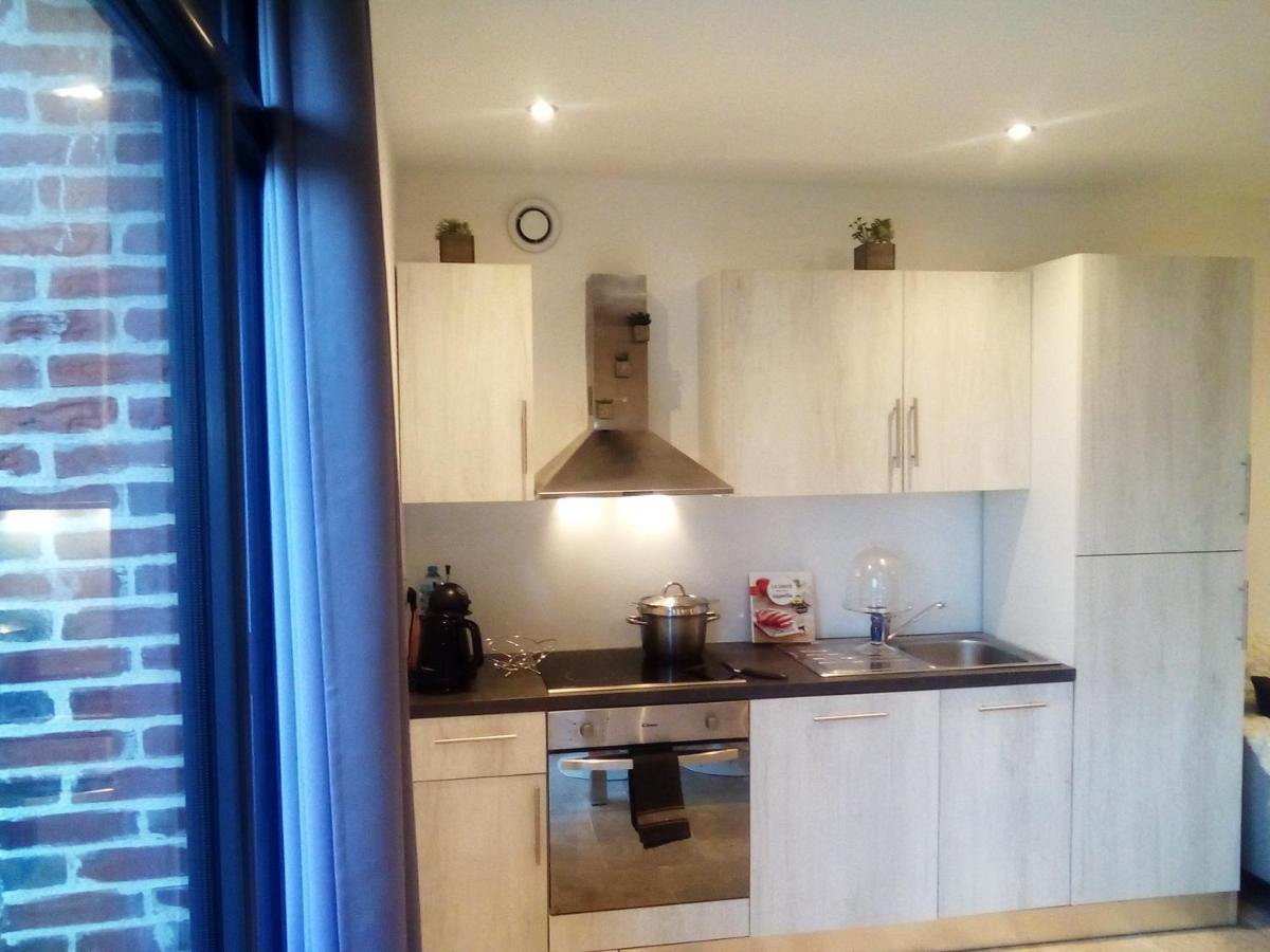 Tuilerie De La Cote 4* Aparthotel Ouzouer-Sur-Trezee Bagian luar foto
