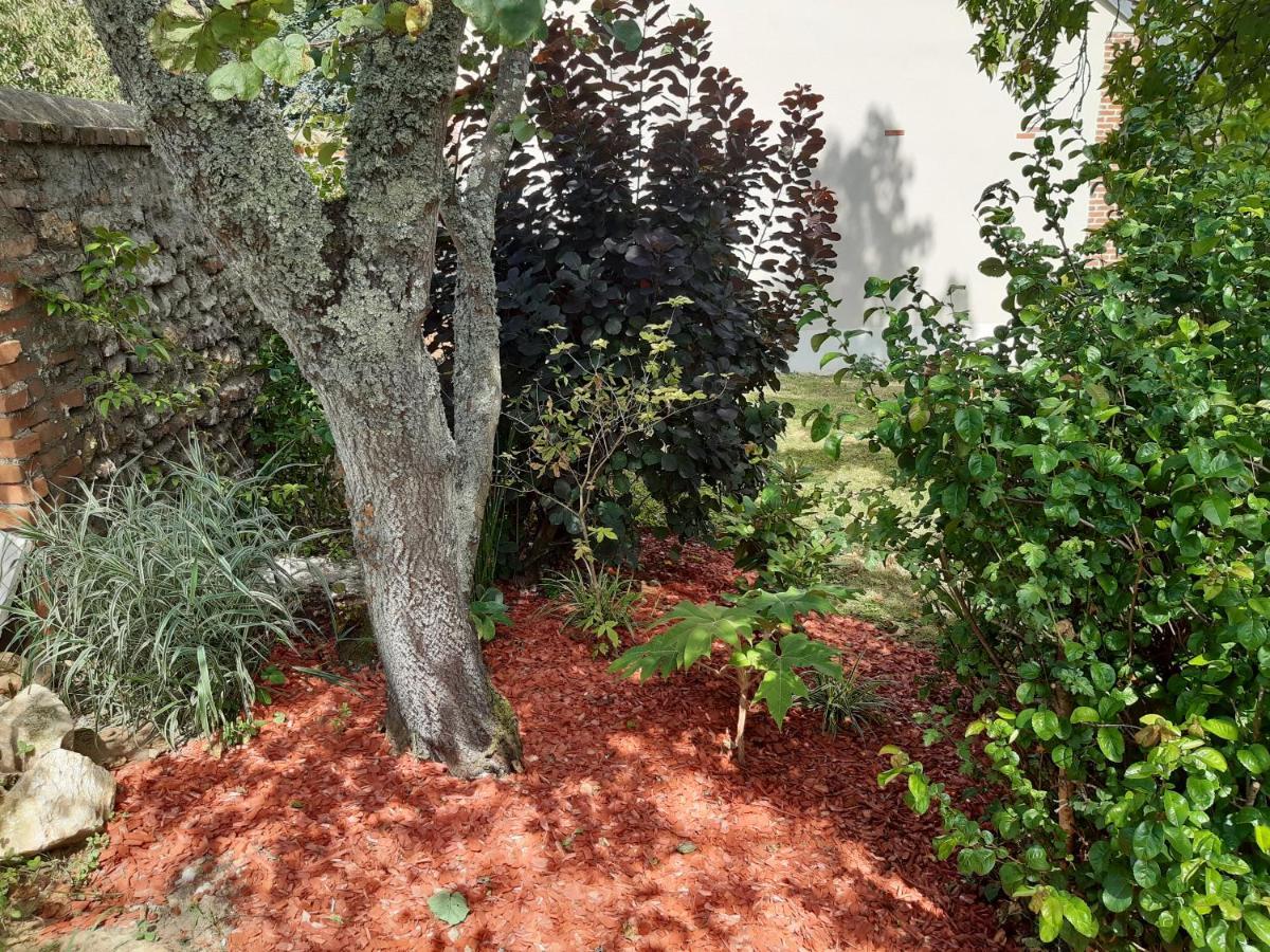 Tuilerie De La Cote 4* Aparthotel Ouzouer-Sur-Trezee Bagian luar foto