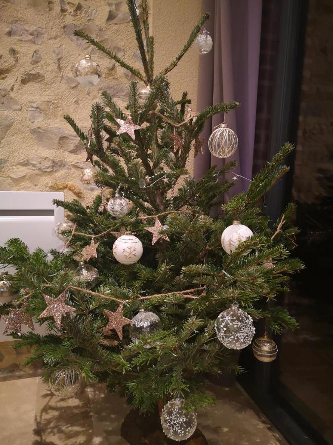 Tuilerie De La Cote 4* Aparthotel Ouzouer-Sur-Trezee Bagian luar foto